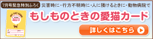 もしものときの愛猫カード
