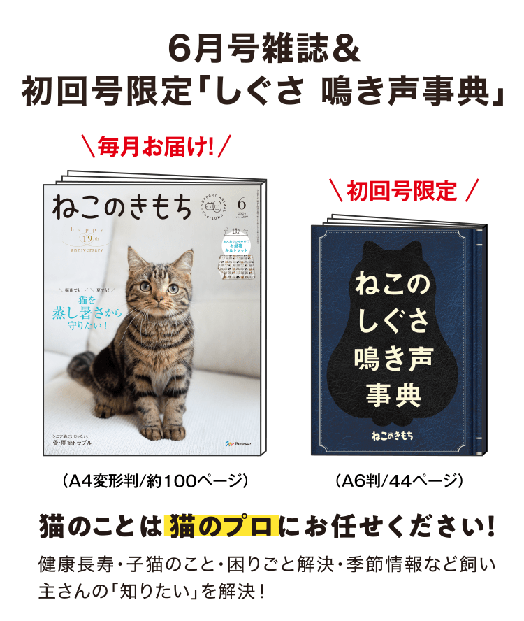 6月号雑誌[A4判／約100ページ]＆初回号限定「しぐさ 鳴き声事典」　猫のことは猫のプロにお任せください！