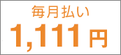 毎月払い1,080円