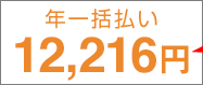 年一括払い11,880円