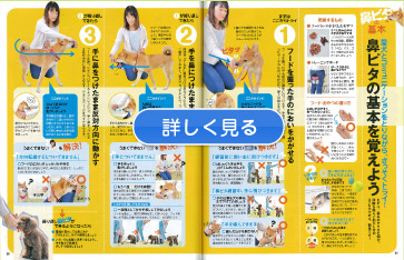詳しく見る