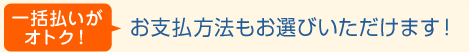 一括払いがオトク! お支払方法もお選びいただけます!