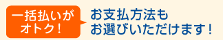 一括払いがオトク! お支払方法もお選びいただけます!