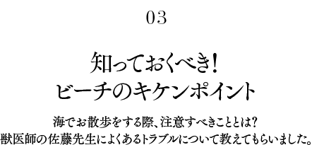 知っておくべき!ビーチのキケンポイント