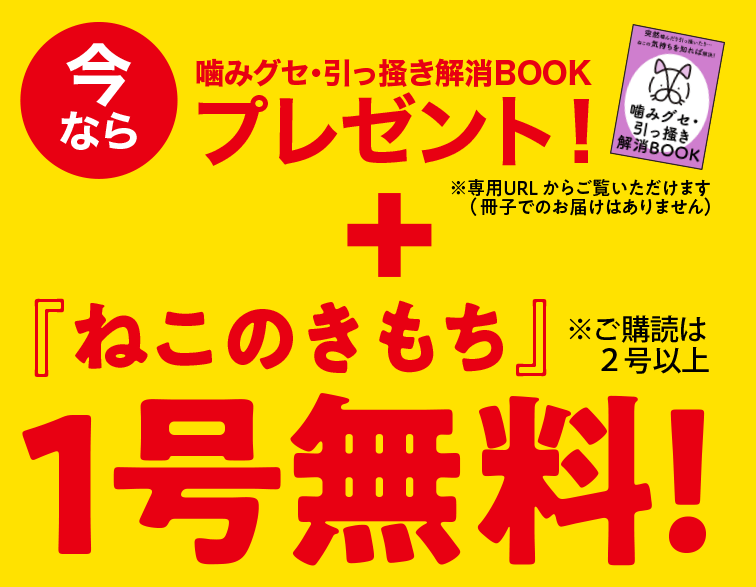 今なら噛みグセ・引っ掻き解消BOOKプレゼント！＋『ねこのきもち』1号無料！※ご購読は2号以上