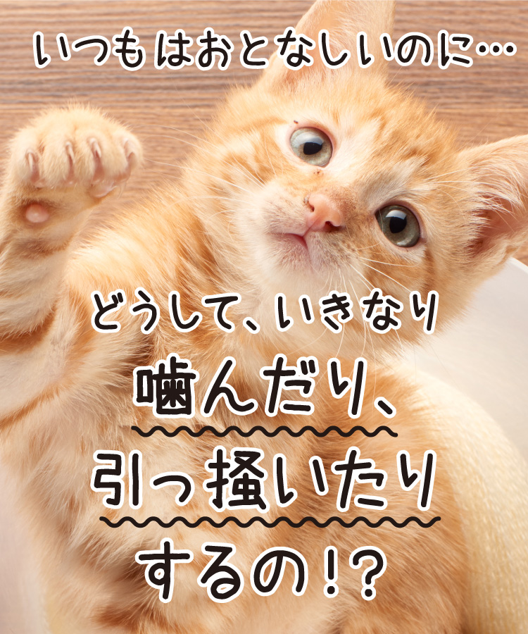 いつもはおとなしいのに&hellip;どうして、いきなり噛んだり、引っ掻いたりするの！？