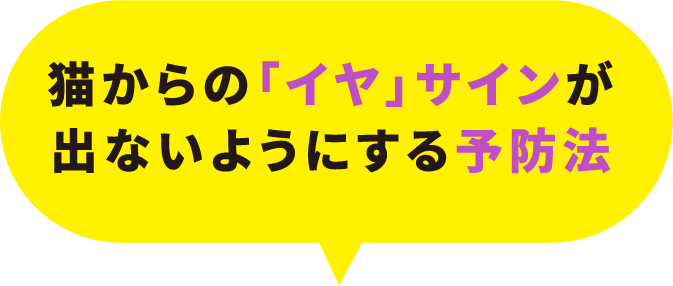 猫からの「イヤ」サインが出ないようにする予防法