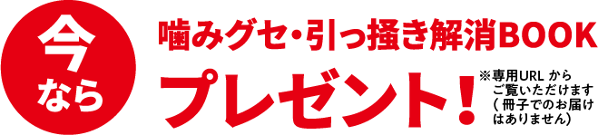 今なら噛みグセ・引っ掻き解消BOOKプレゼント！