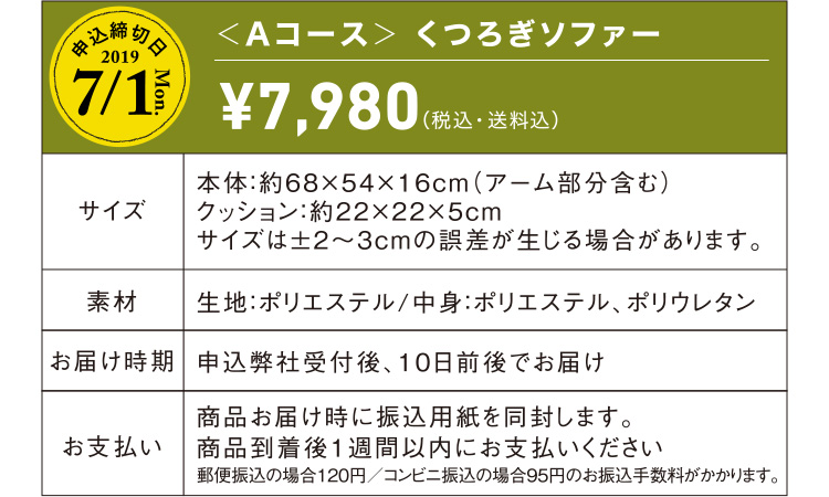 ＜Aコース＞ くつろぎソファー　¥7,980（税込・送料込）