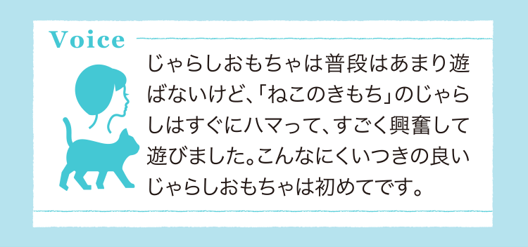 猫のしつけ 飼い方 育て方 猫のしつけなら ねこのきもち いぬのきもちweb ねこのきもちweb