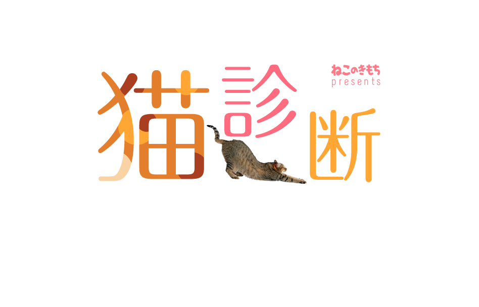 もしもあなたが猫だったら…！？猫診断