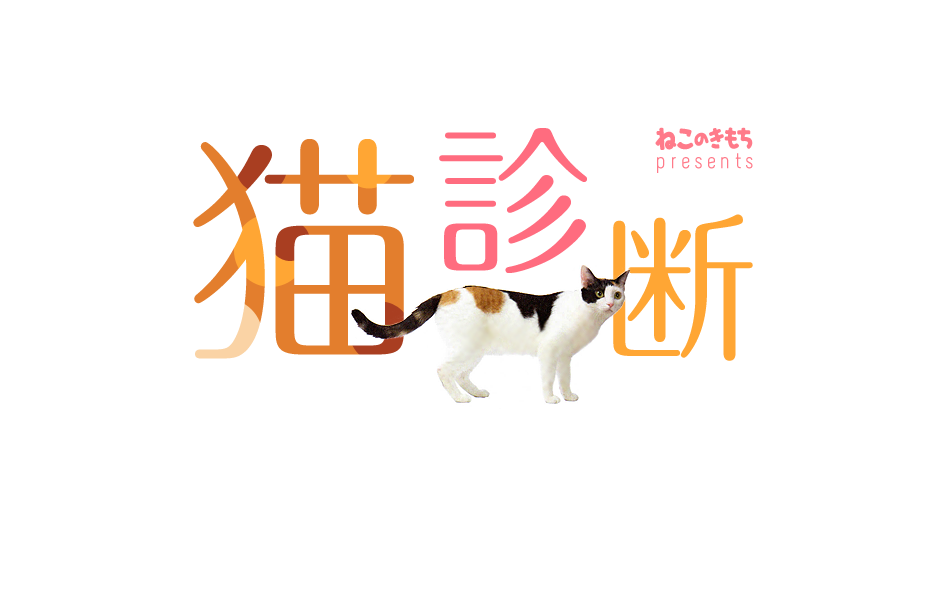 もしもあなたが猫だったら…！？猫診断