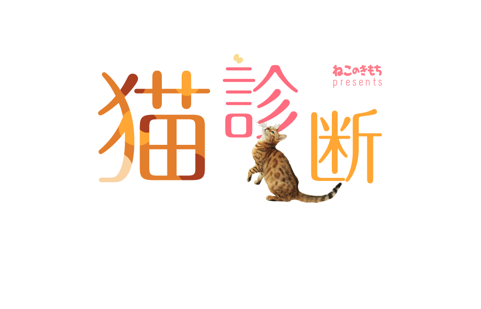 もしもあなたが猫だったら…！？猫診断