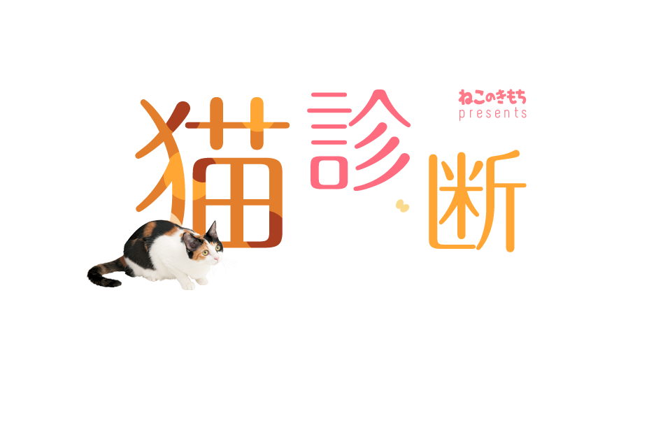 もしもあなたが猫だったら…！？猫診断