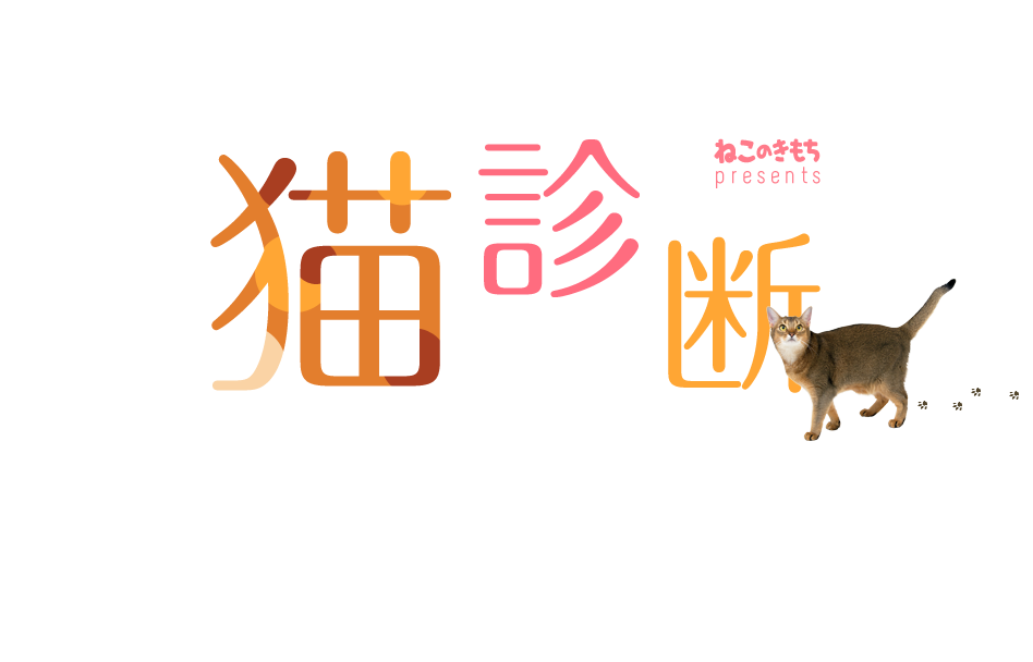 もしもあなたが猫だったら…！？猫診断