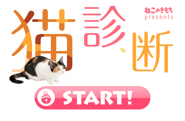 もしもあなたが猫だったら 猫診断 いぬのきもちweb ねこのきもちweb もしもあなたが猫だったら 猫診断 いぬのきもちweb ねこのきもちweb