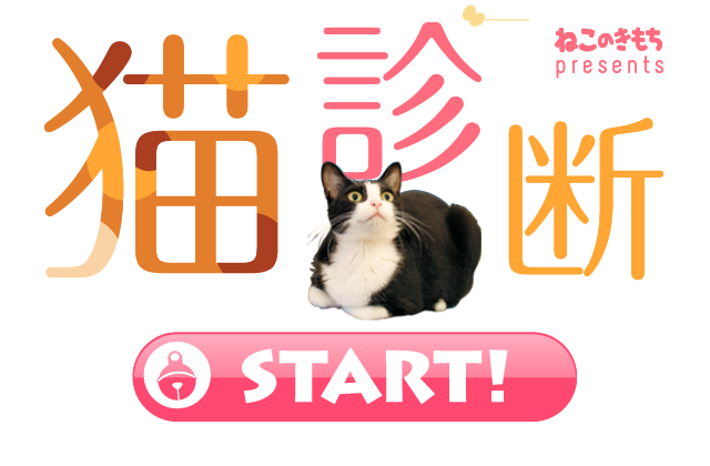 もしもあなたが猫だったら 猫診断 いぬのきもちweb ねこのきもちweb