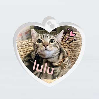 ねこのきもち うちのコデザインメーカー | いぬのきもちweb・ねこのき