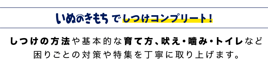 しつけの方法や基本的な育て方、吠え・噛み・トイレなど困りごとの対策や特集を丁寧に取り上げます。