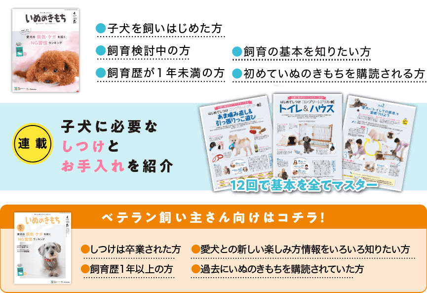 子犬に必要なしつけとお手入れを紹介