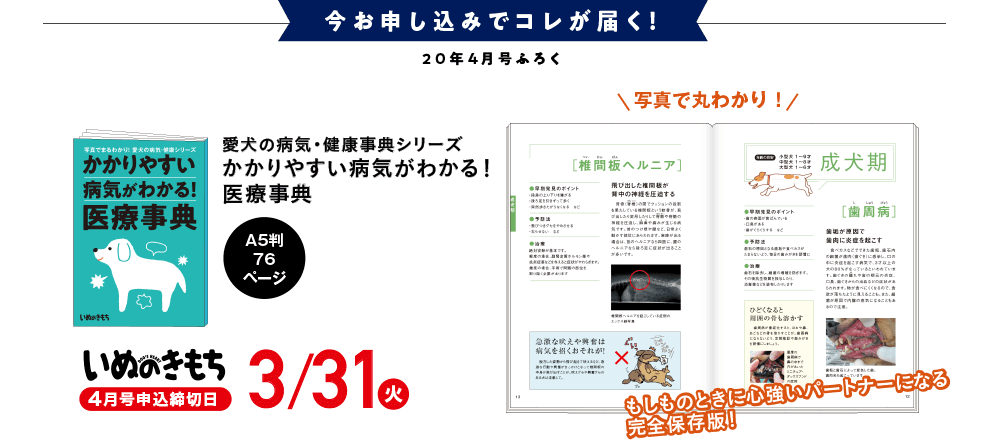 今お申込みでコレが届く！【4月号特典｜愛犬の病気・健康事典シリーズ「かかりやすい病気がわかる！医療事典」】