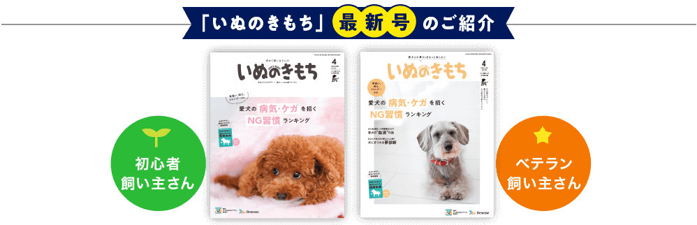 「いぬのきもち」最新号のご紹介
