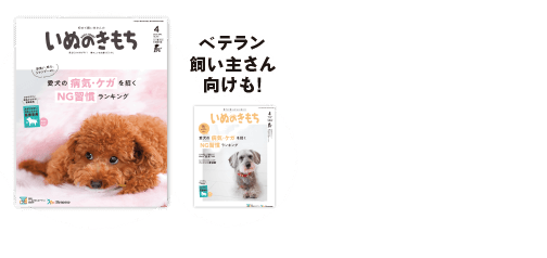 いぬのきもち4月号