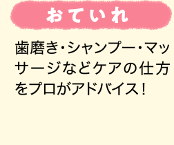 おていれ ｜ 歯磨き・シャンプー・マッサージなどケアの仕方をプロがアドバイス！