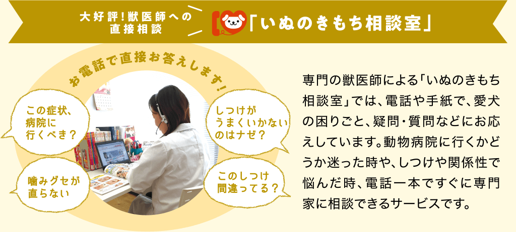 大好評！獣医師への直接相談「いぬのきもち相談室」