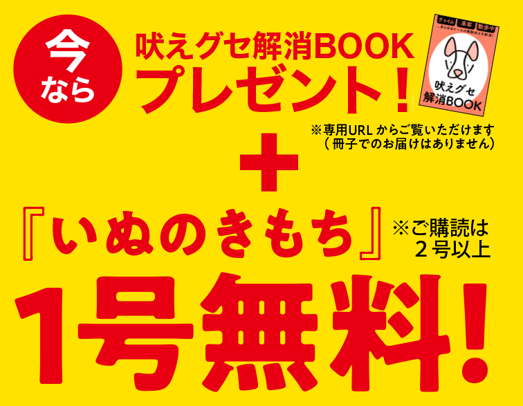 今なら噛みグセ・引っ掻き解消BOOKプレゼント！＋『いぬのきもち』1号無料！※ご購読は2号以上