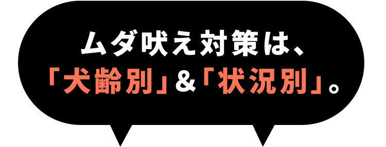 ムダ吠え対策は、「犬齢別」＆「状況別」。