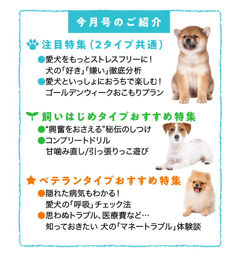 雑誌 いぬのきもち 犬のしつけ 飼い方 子犬の育て方なら