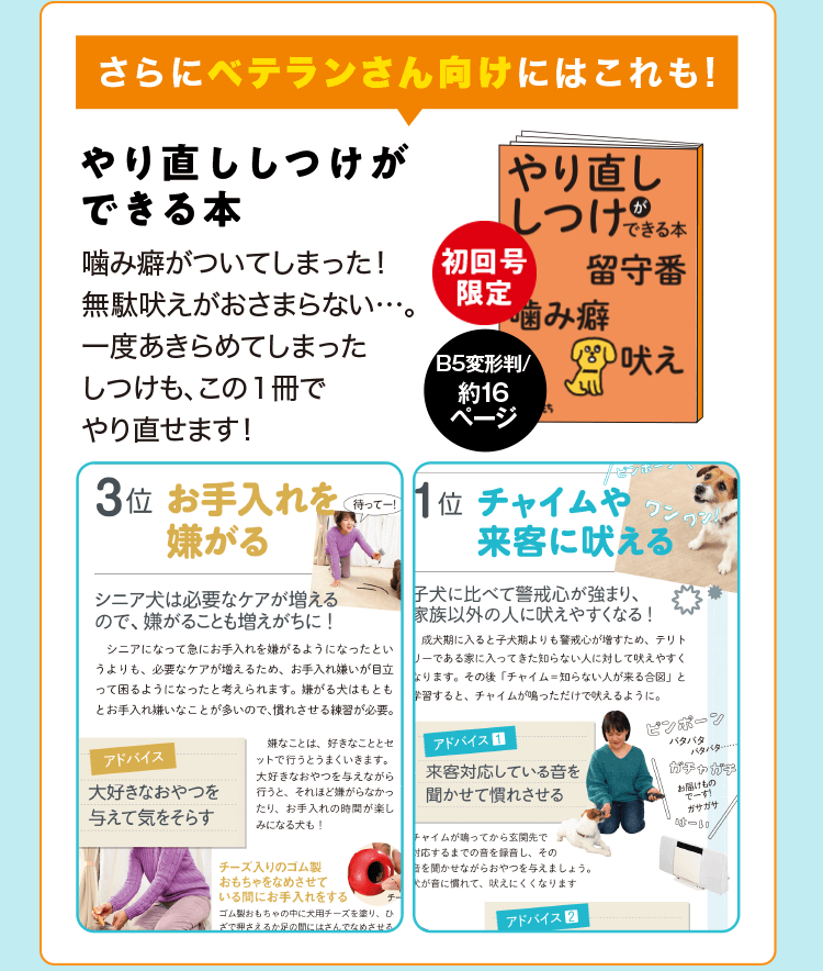 雑誌 いぬのきもち 犬のしつけ 飼い方 子犬の育て方なら