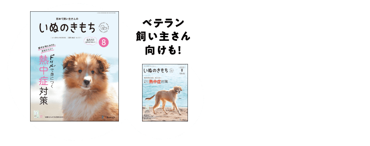 雑誌 いぬのきもち 犬のしつけ 飼い方 子犬の育て方なら