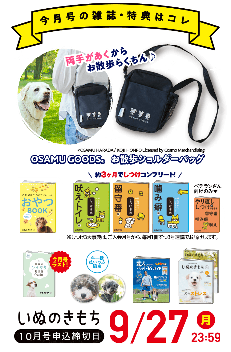 雑誌 いぬのきもち 犬のしつけ 飼い方 子犬の育て方なら