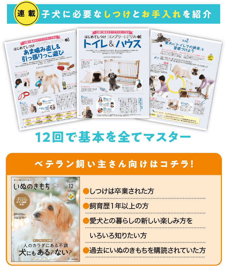 雑誌 いぬのきもち 犬のしつけ 飼い方 子犬の育て方なら