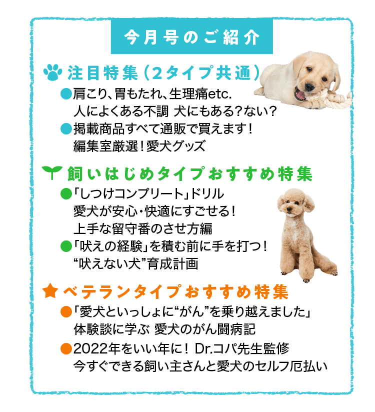 雑誌 いぬのきもち 犬のしつけ 飼い方 子犬の育て方なら
