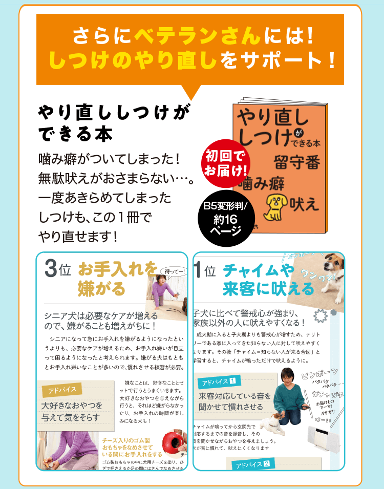 雑誌 いぬのきもち 犬のしつけ 飼い方 子犬の育て方なら