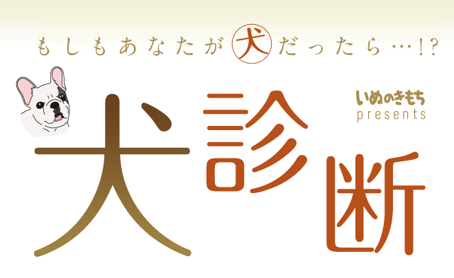 もしもあなたが犬だったら 犬診断 いぬのきもちweb ねこのきもちweb