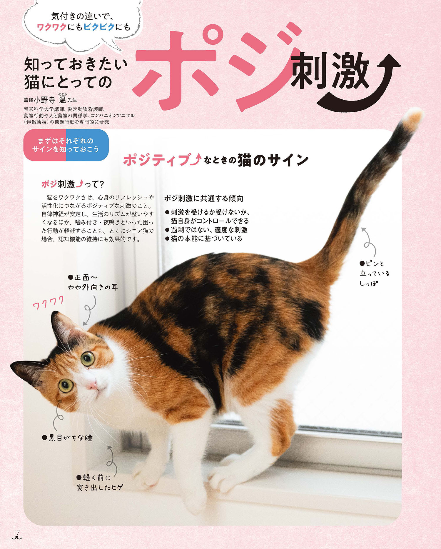 ねこのきもち最新号を試し読み！