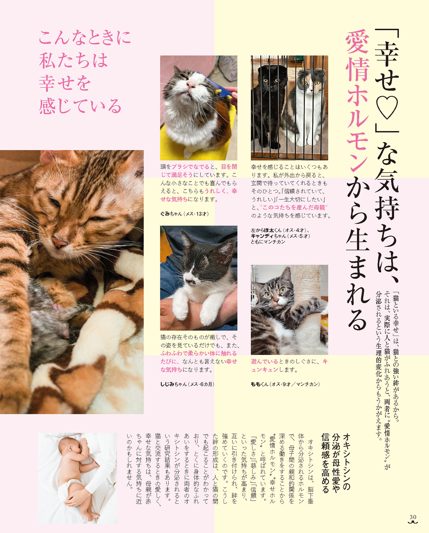 ねこのきもち最新号を試し読み！
