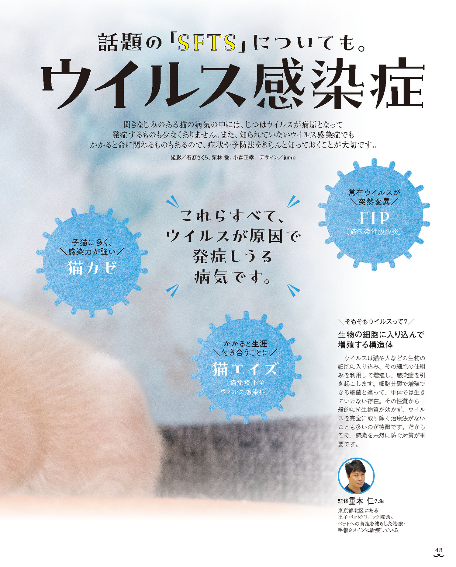 ねこのきもち最新号を試し読み！