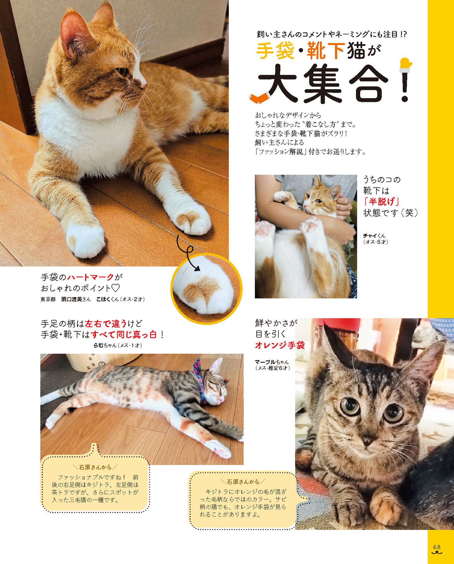 猫のきもち ネコのきもち ホットアイマスクアソート(ありがとう) / キモチ(アイ