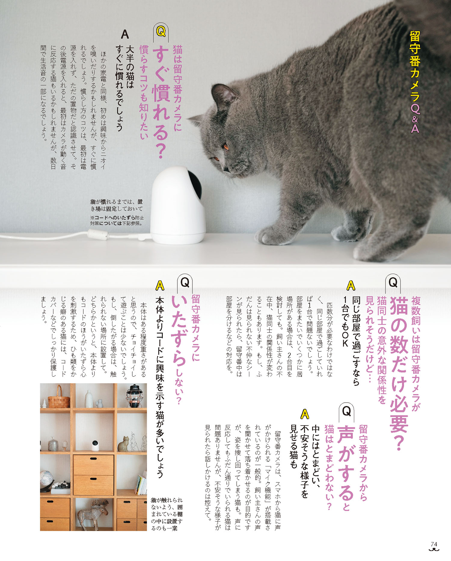 ねこのきもち最新号を試し読み！