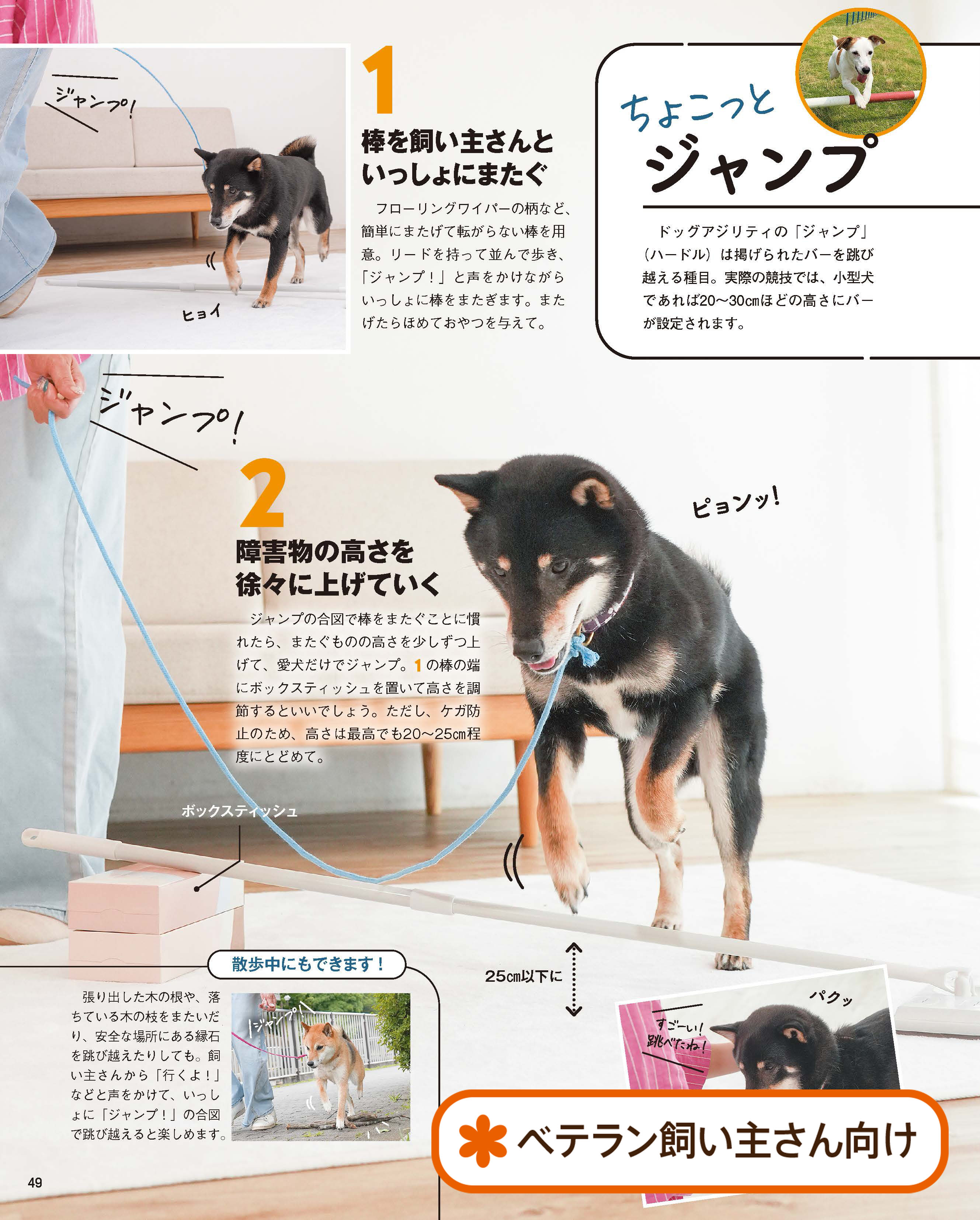 いぬのきもち最新号を試し読み！