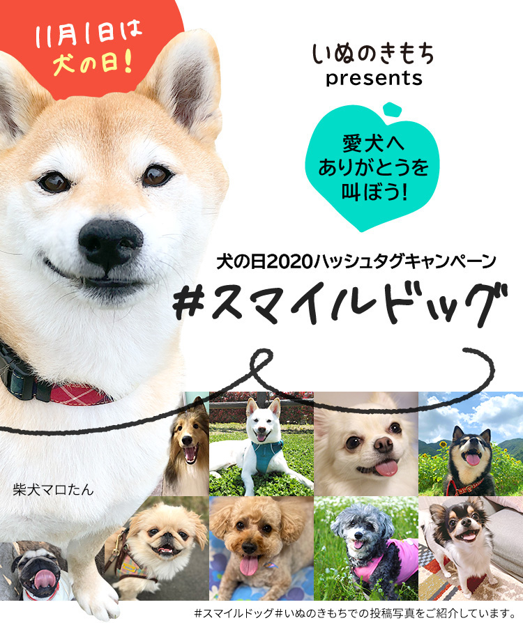 11月1日は犬の日！「いぬのきもち」presents　愛犬へありがとうを叫ぼう！　犬の日2020ハッシュタグキャンペーン　#スマイルドッグ
