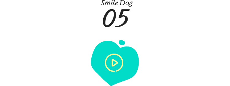 Smile Dog 06