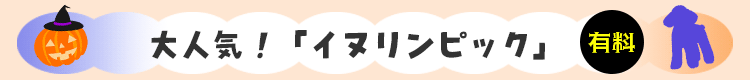 大人気！イヌリンピック