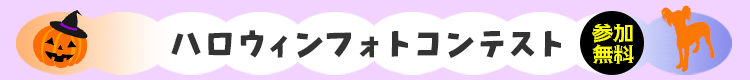 ハロウィンフォトコンテスト