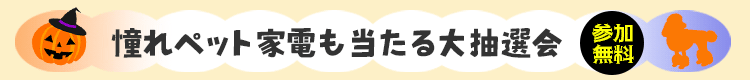 豪華プレゼント抽選会